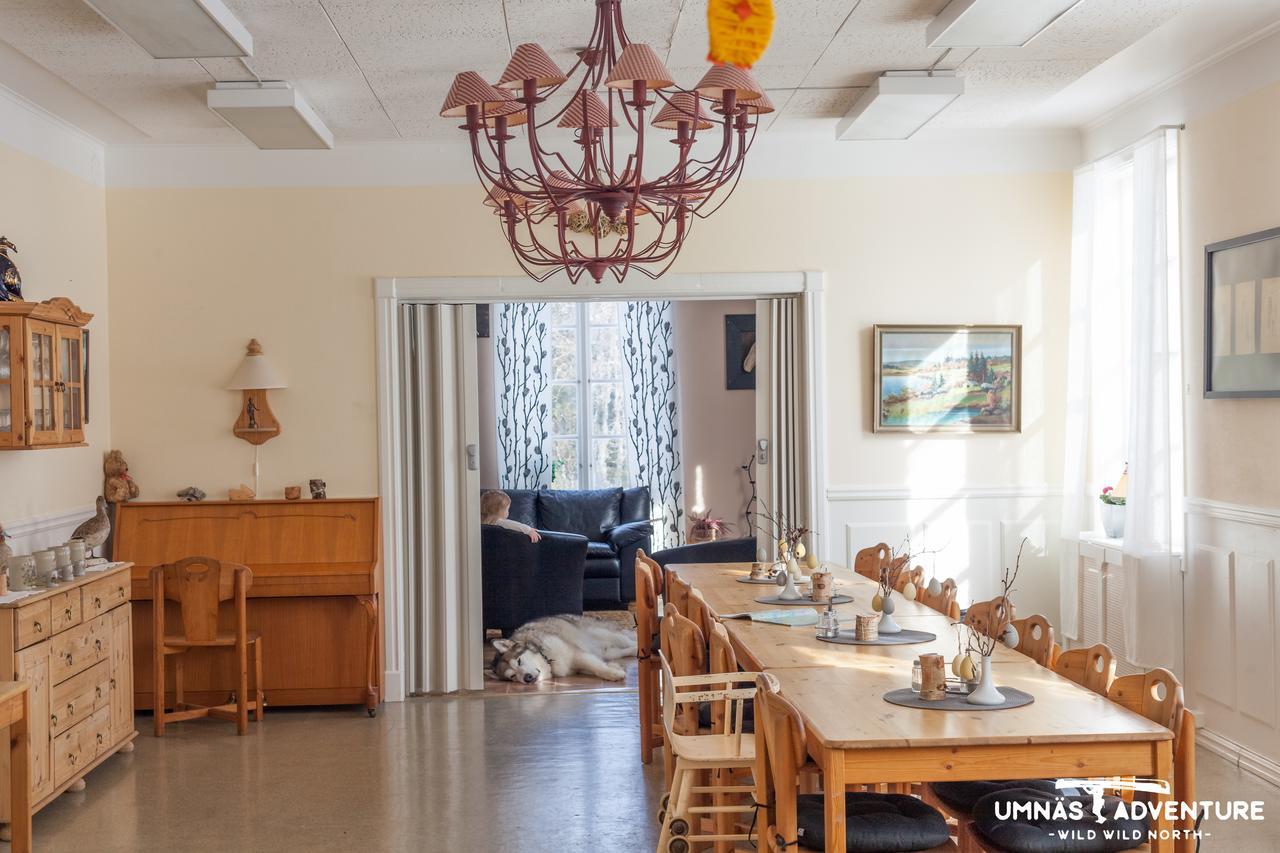 Umnas Adventure Hotel Storuman Luaran gambar